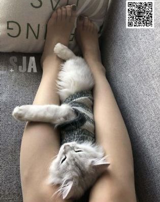 爱情重跑_蓝光免费观看最新