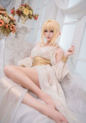 金装的维尔樱花动画免费_DVD免费全集观看